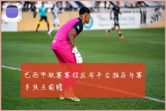 巴西甲联赛赛程发布平台推荐与赛季焦点前瞻