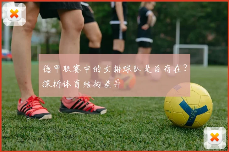德甲联赛中的女排球队是否存在?探析体育结构差异