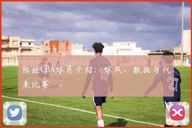 陆姓CBA球员介绍：球风、数据与代表比赛