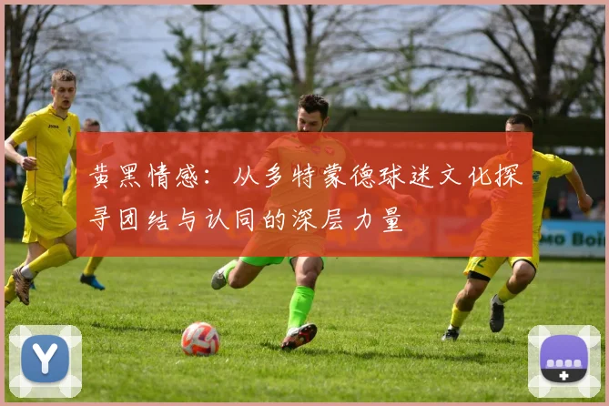 黄黑情感：从多特蒙德球迷文化探寻团结与认同的深层力量