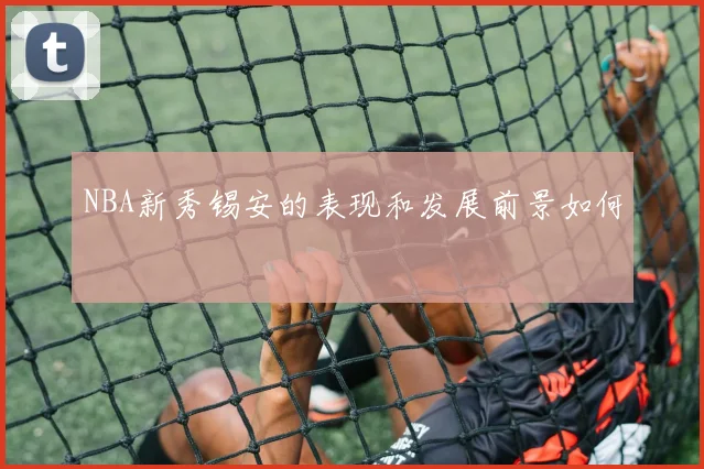 NBA新秀锡安的表现和发展前景如何