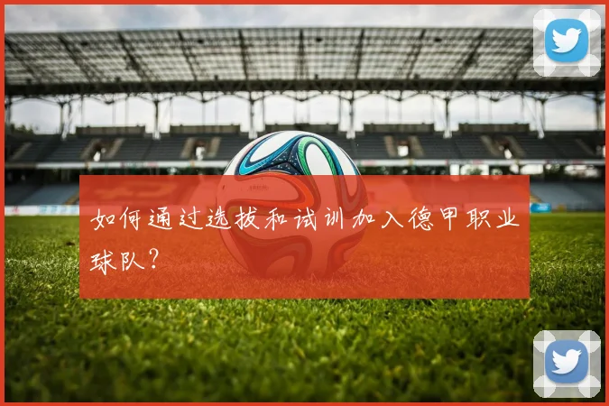 如何通过选拔和试训加入德甲职业球队？