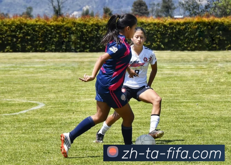 世界杯赛程平台生态图